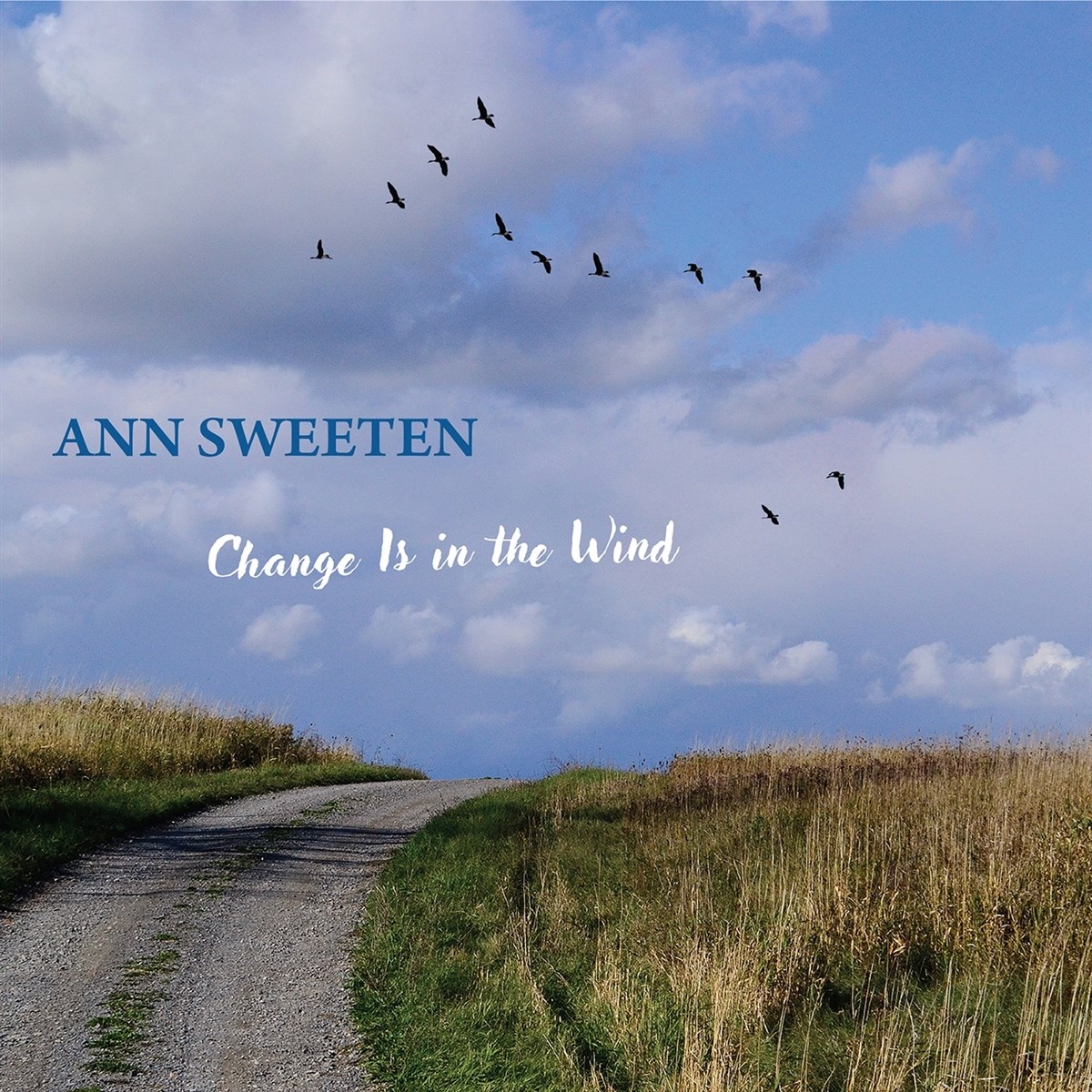 Afbeelding van Ann Sweeten - Change Is In The Wind