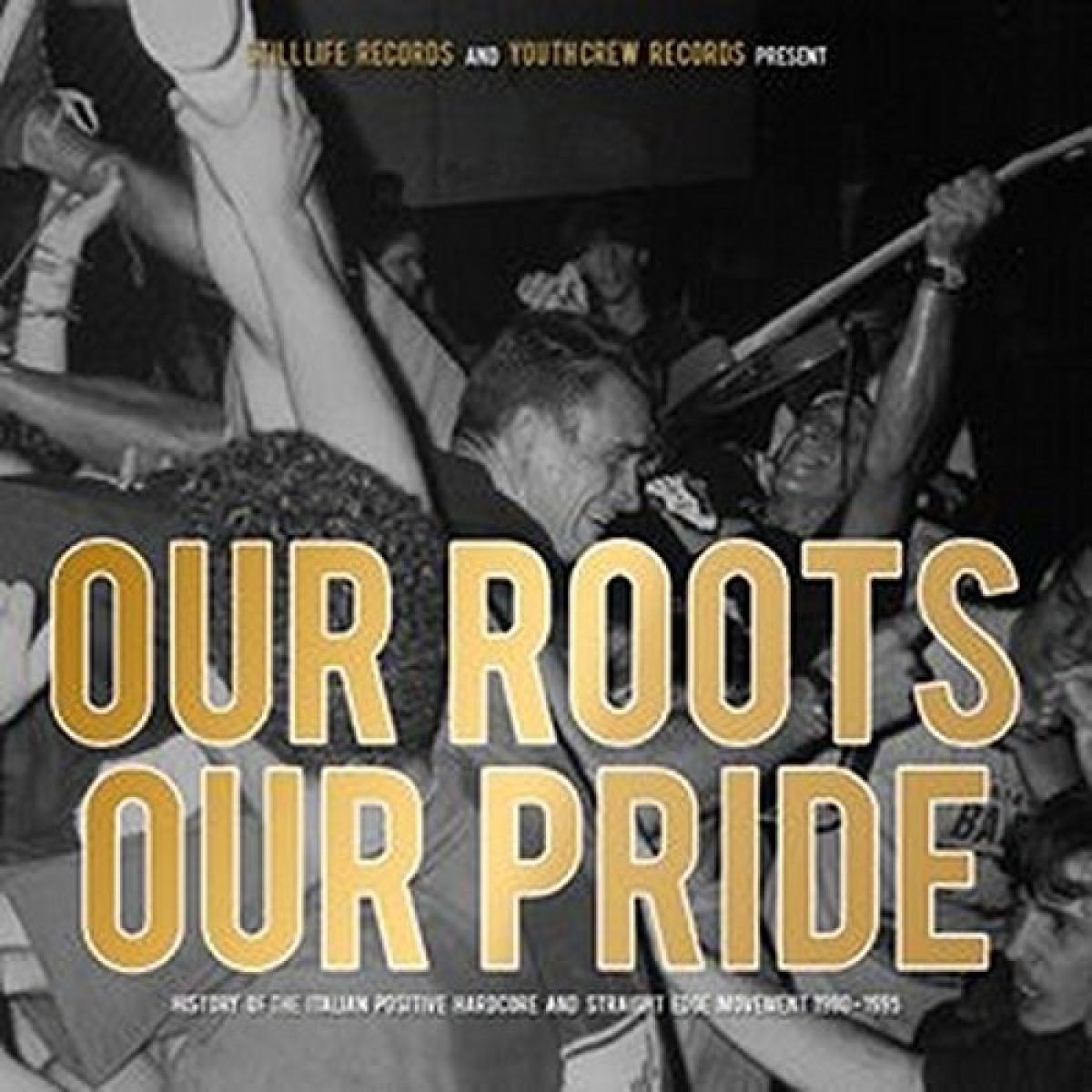 Afbeelding van Various Artists - Our Roots Our Pride