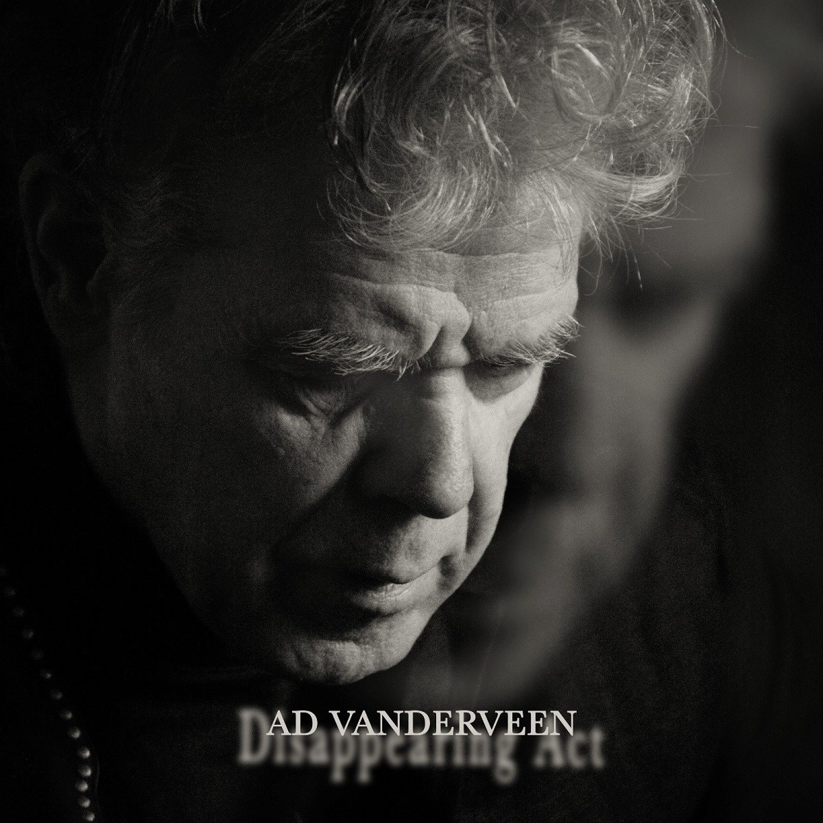 Ad Vanderveen - Disappearing Act