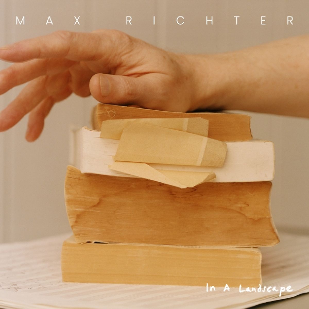 Afbeelding van Max Richter - In A Landscape