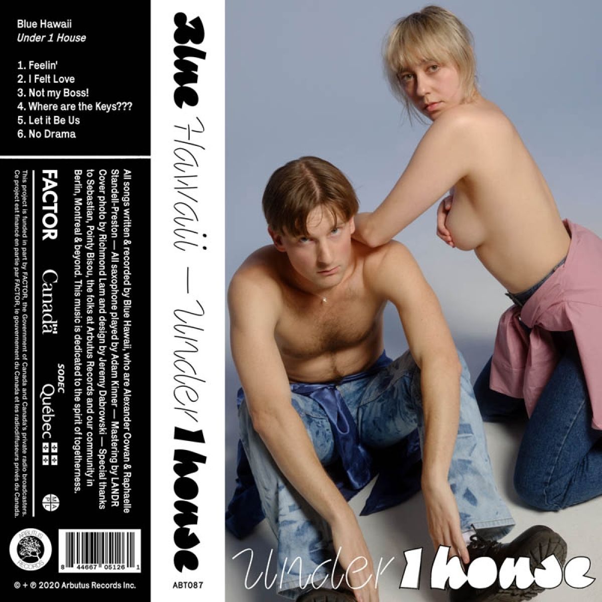 Afbeelding van Blue Hawaii - Under 1 House