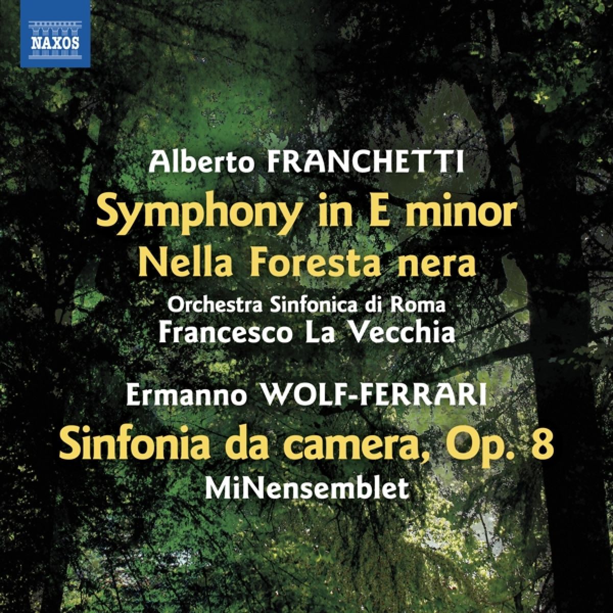 MiNensemblet, Orchestra Sinfonica di Roma, Francesco La Vecchia - Symphony In E Minor | Nella Foresta Nera | Sinfoni da Camera