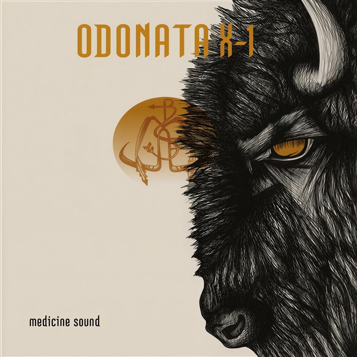 Afbeelding van Odonata X-1 - Medecine Sound