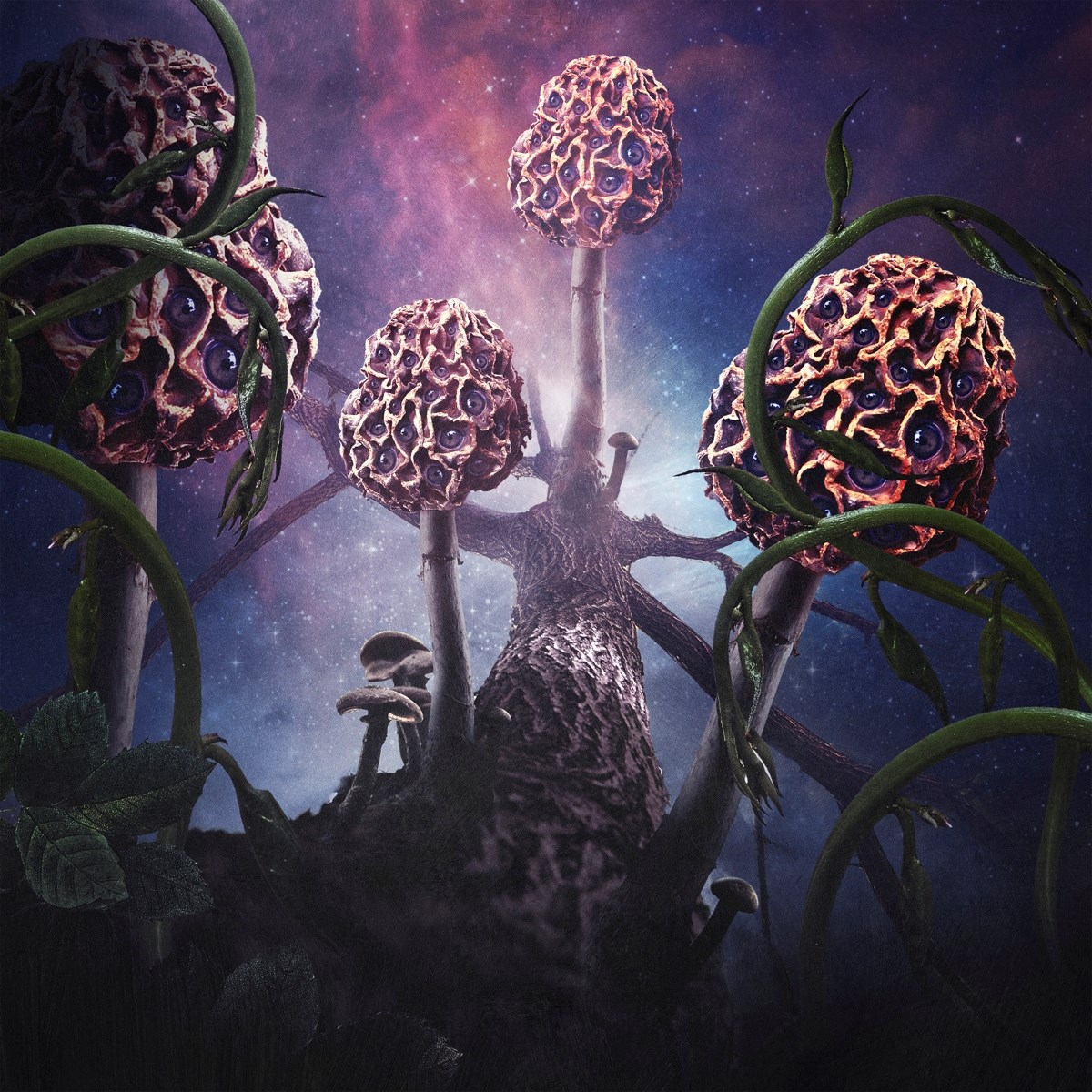 Afbeelding van Blut Aus Nord - Hallucinogen