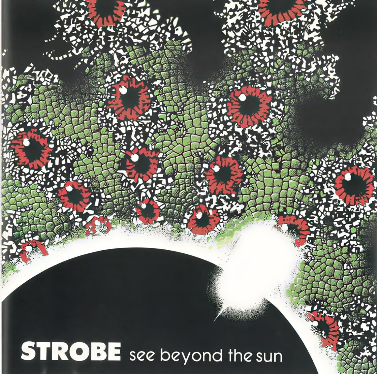Afbeelding van Strobe - See Beyond The Sun