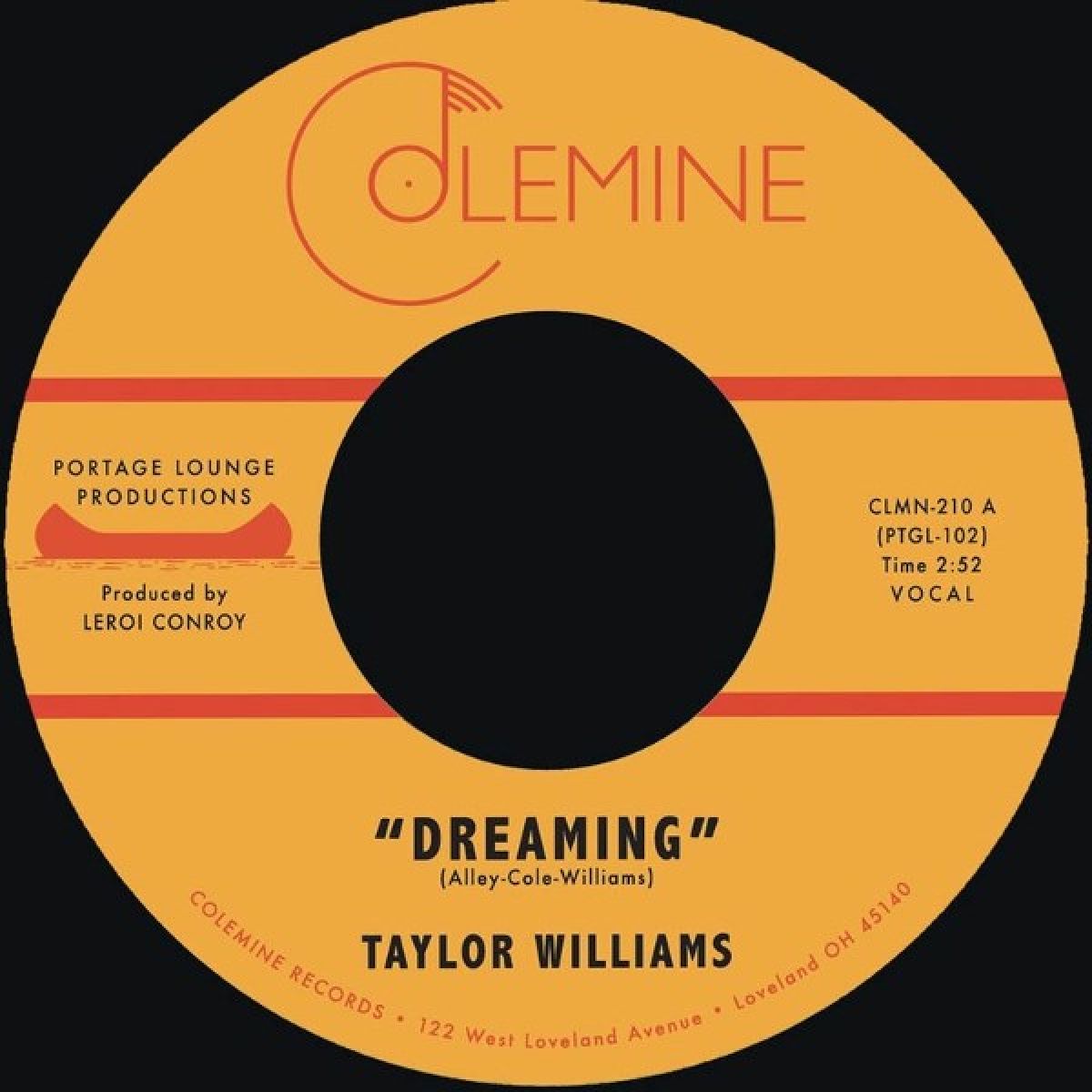 Afbeelding van Taylor Williams - Dreaming