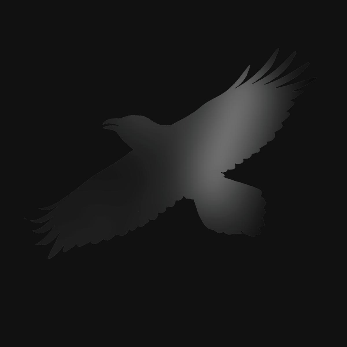 Afbeelding van Odin S Raven Magic