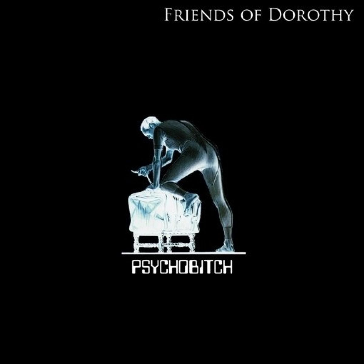 Friends Of Dorothy - Psychobitch