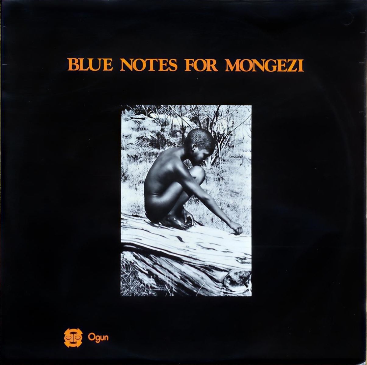 Afbeelding van Blue Notes - Blue Notes For Mongezi