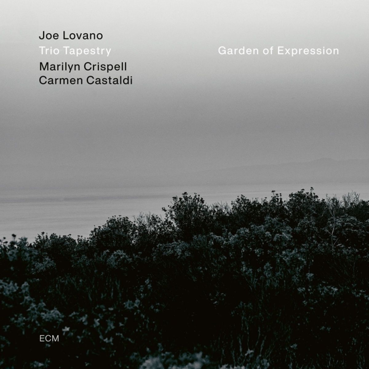 Afbeelding van Joe Lovano, Trio Tapestry - Garden Of Expression