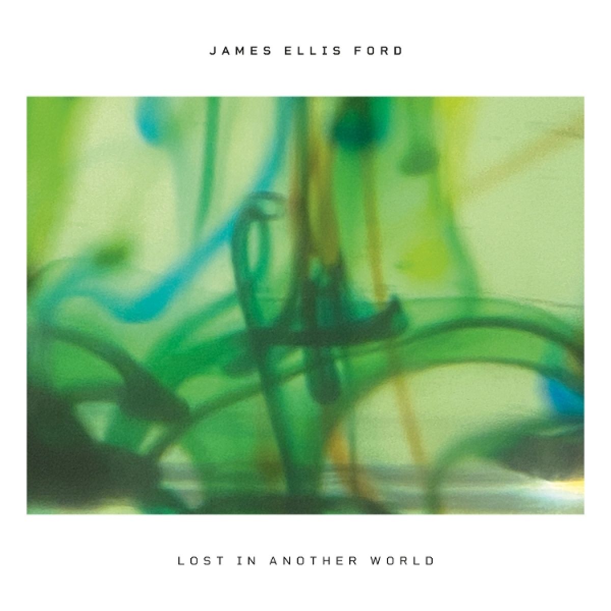 Afbeelding van James Ellis Ford - Lost In Another World