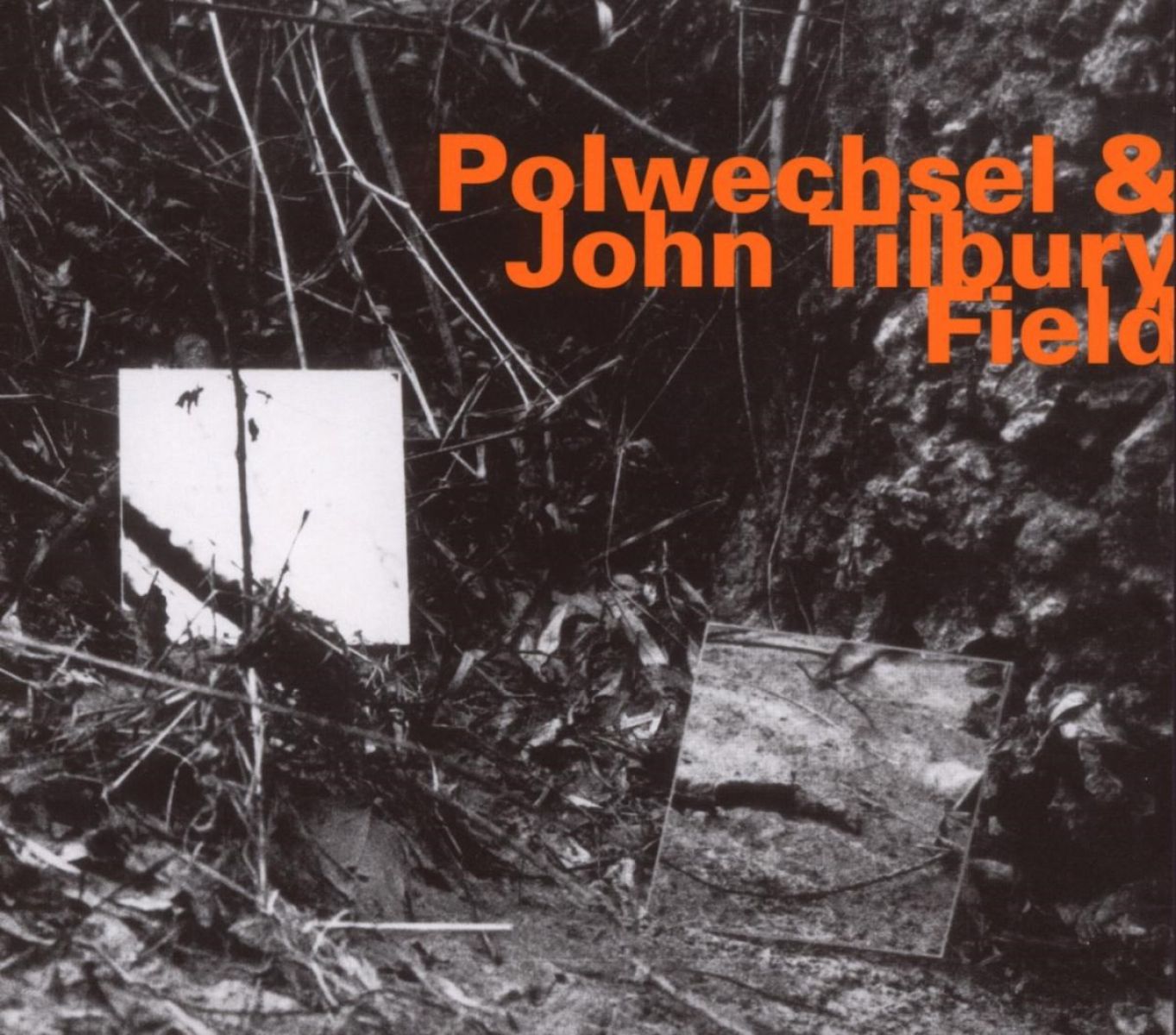 Afbeelding van Polwechsel & John Tilbury - Field