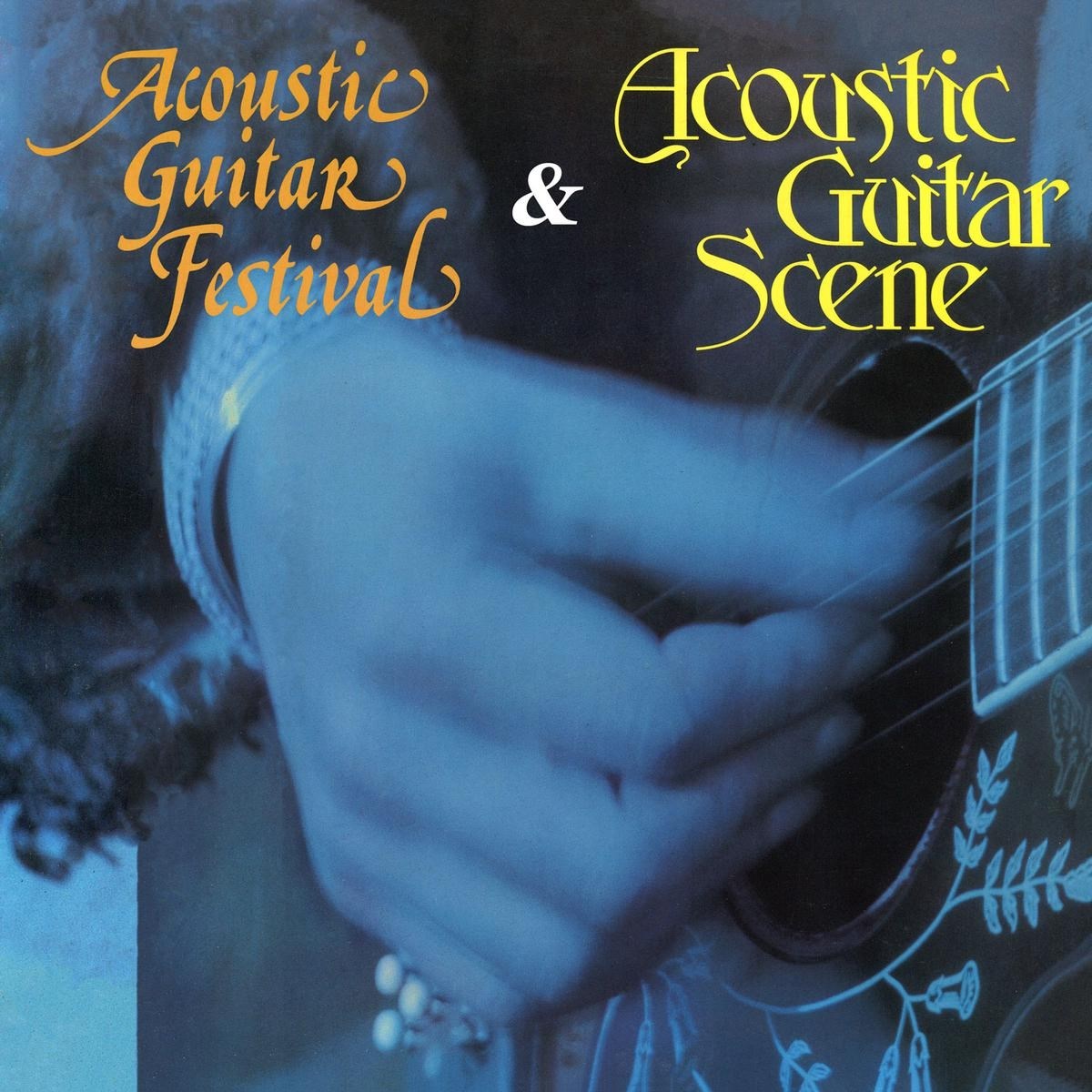Afbeelding van Various Artists - Acoustic Guitar Scene & Acoustic Guitar Festival