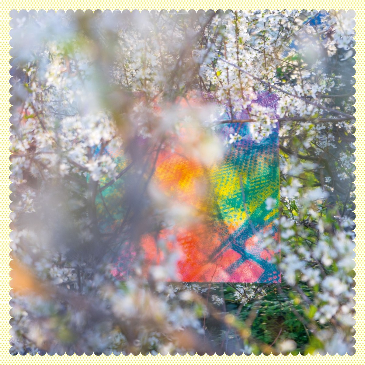 Afbeelding van Four Tet - Sixteen Oceans