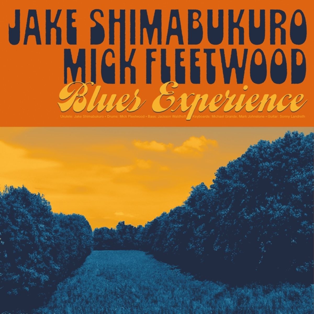 Afbeelding van Blues Experience