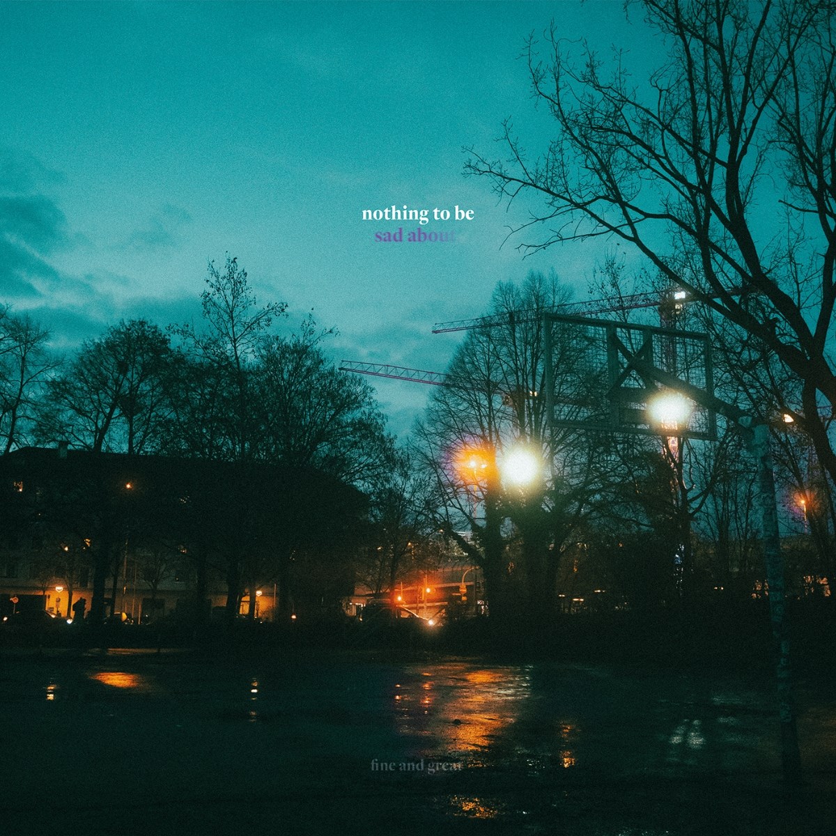 Afbeelding van Fine And Great - Nothing To Be Sad About