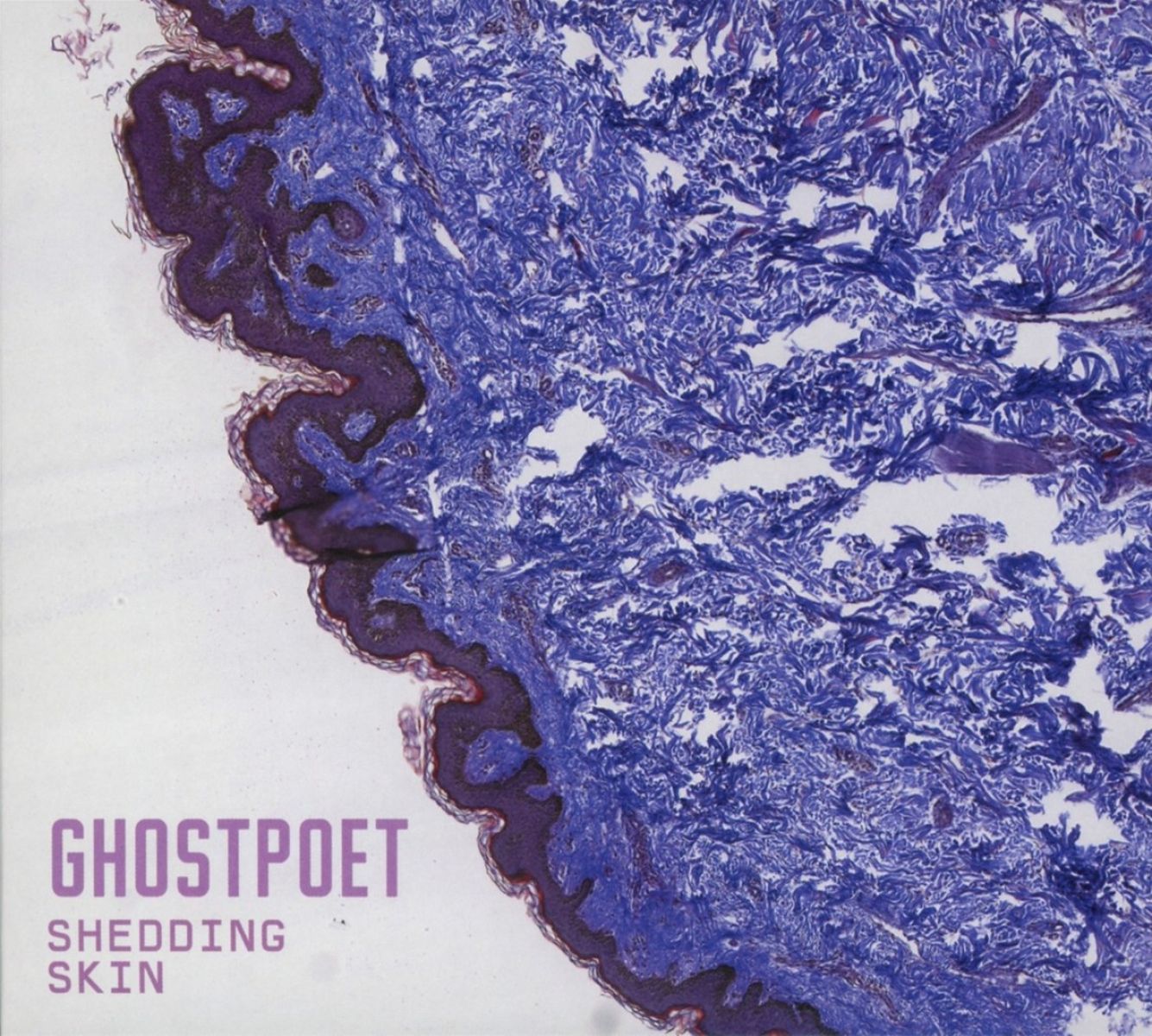 Afbeelding van Ghostpoet - Shedding Skin