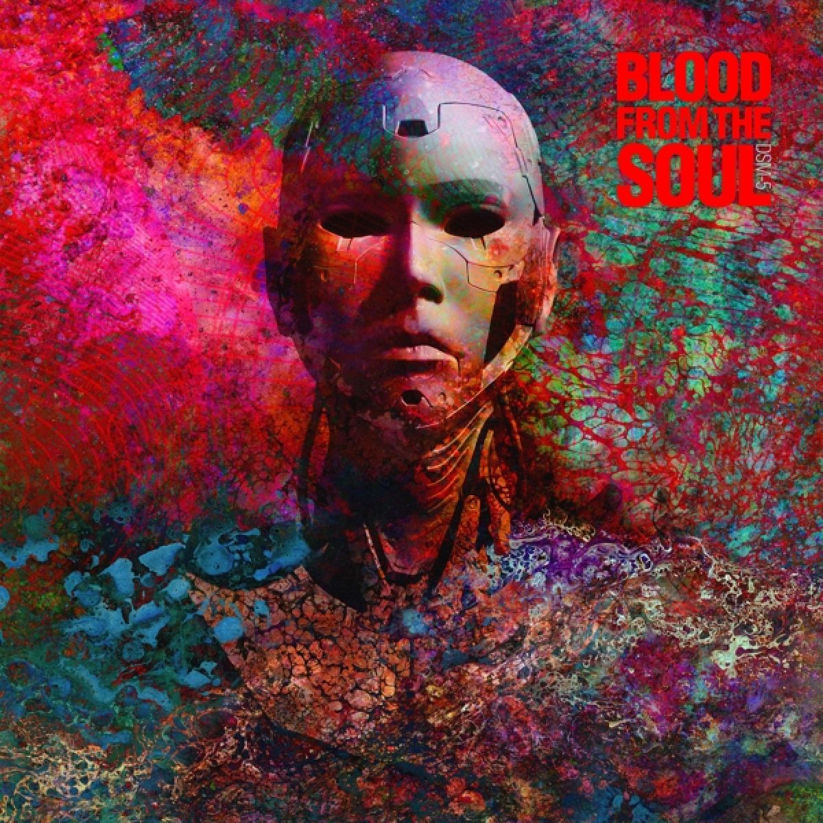 Afbeelding van Blood From The Soul - DSM-5