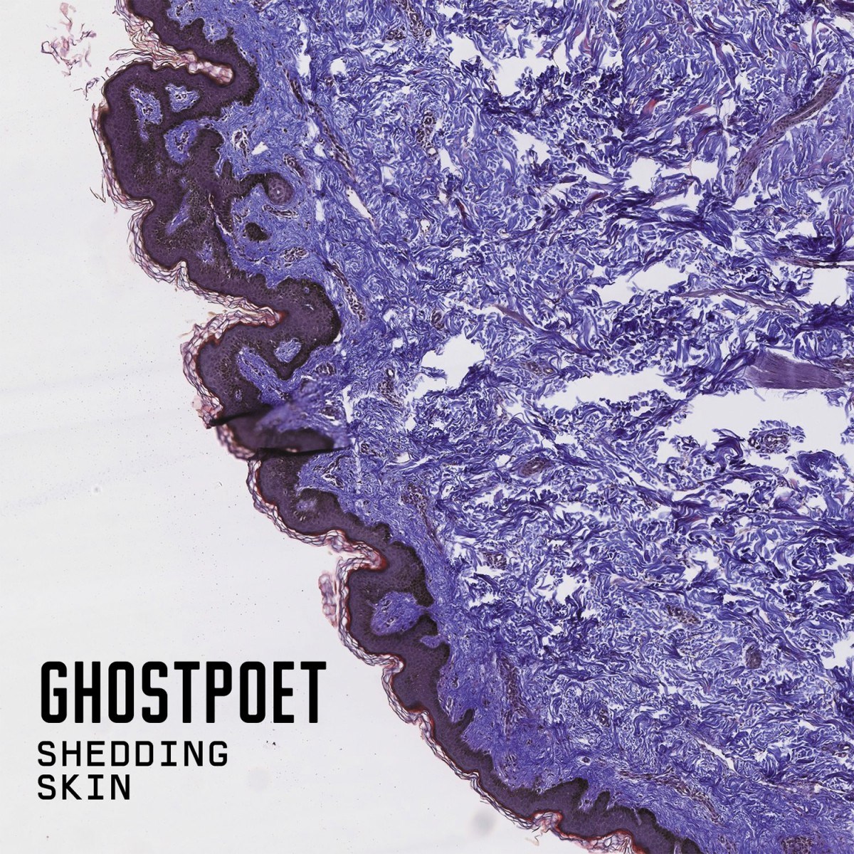 Afbeelding van Ghostpoet - Shedding Skin
