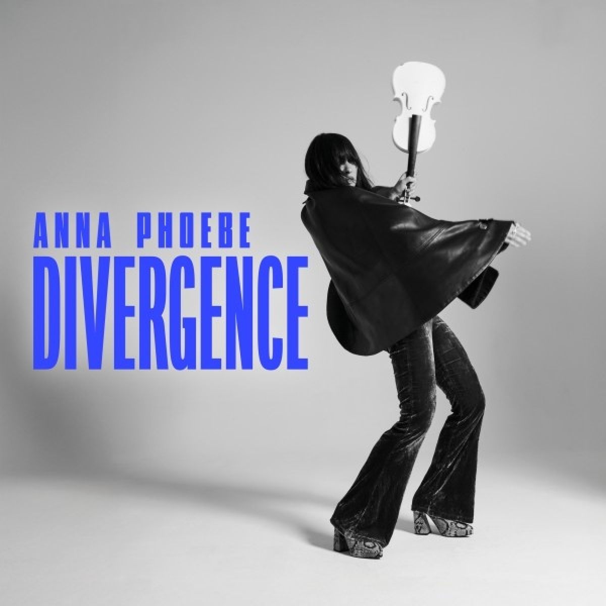 Afbeelding van Anna Phoebe - Divergence