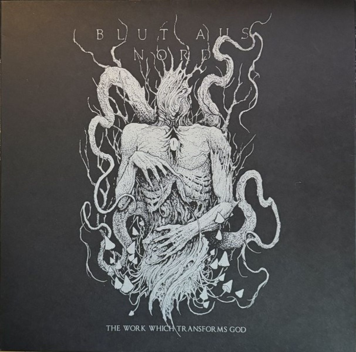 Afbeelding van Blut Aus Nord - The Work Which Transforms God