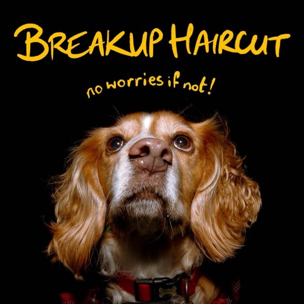 Afbeelding van Breakup Haircut - No Worries If Not