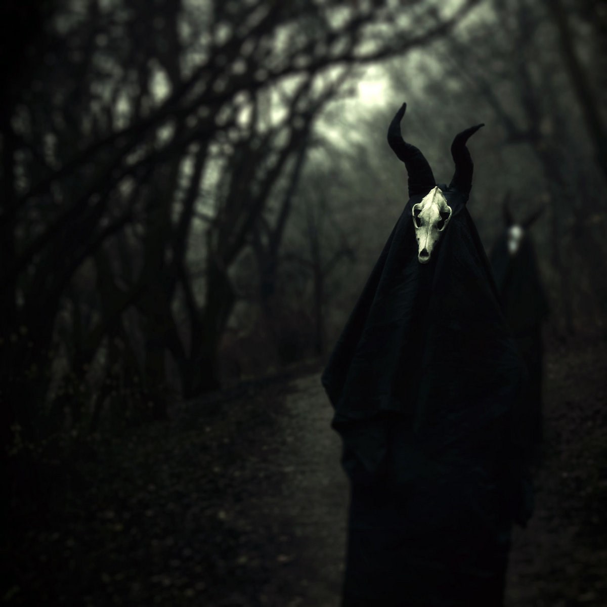 Afbeelding van White Ward - Futility Report