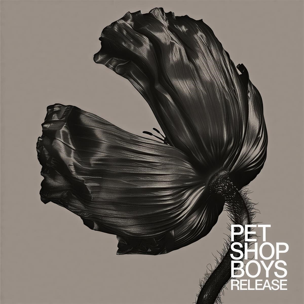 Afbeelding van Pet Shop Boys - Release