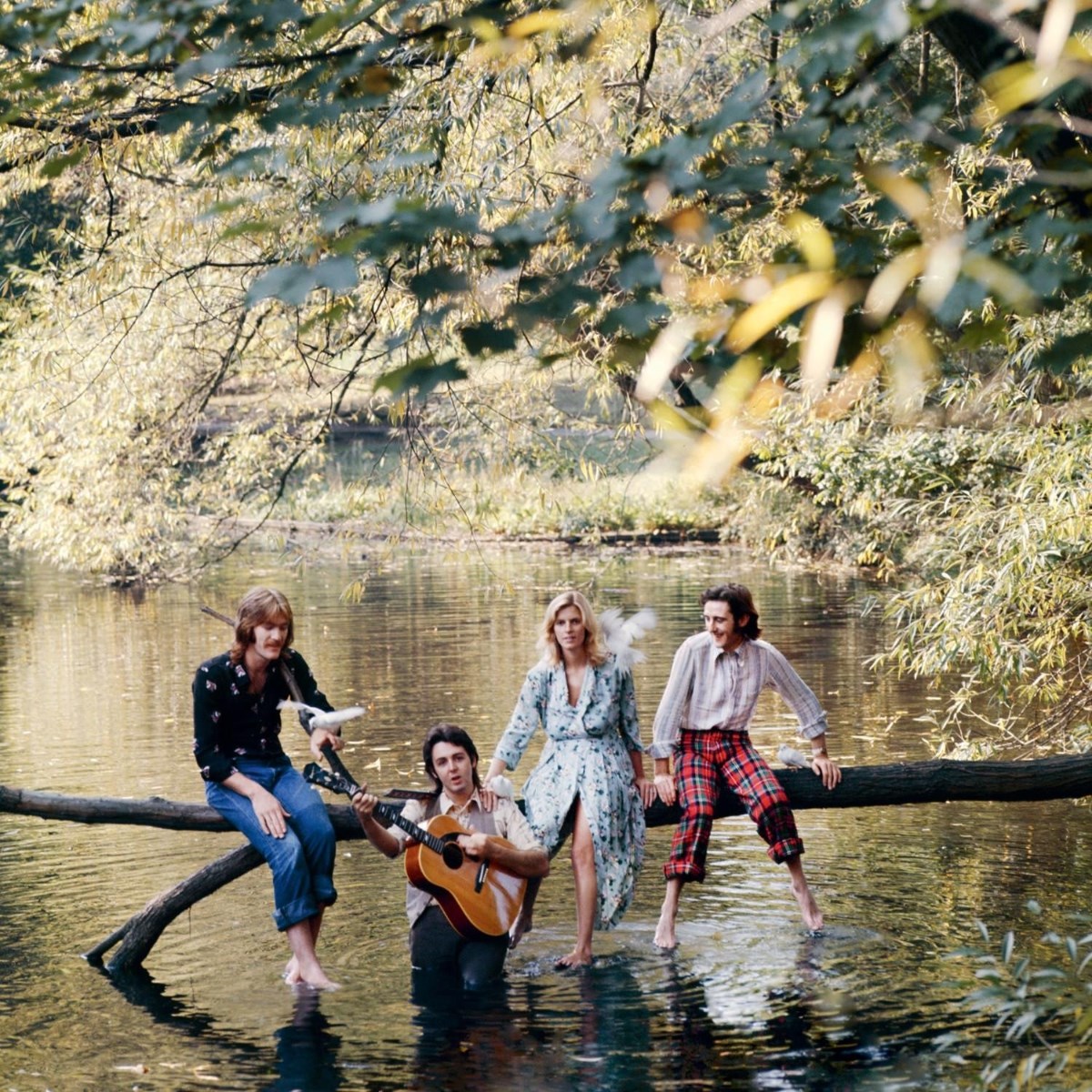 Afbeelding van Paul McCartney - Wild Life