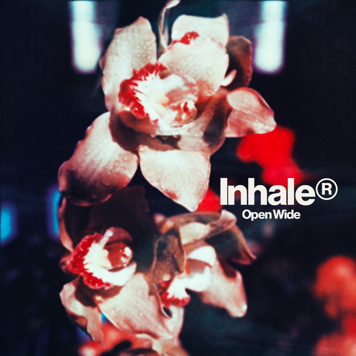Afbeelding van Inhaler - Open Wide