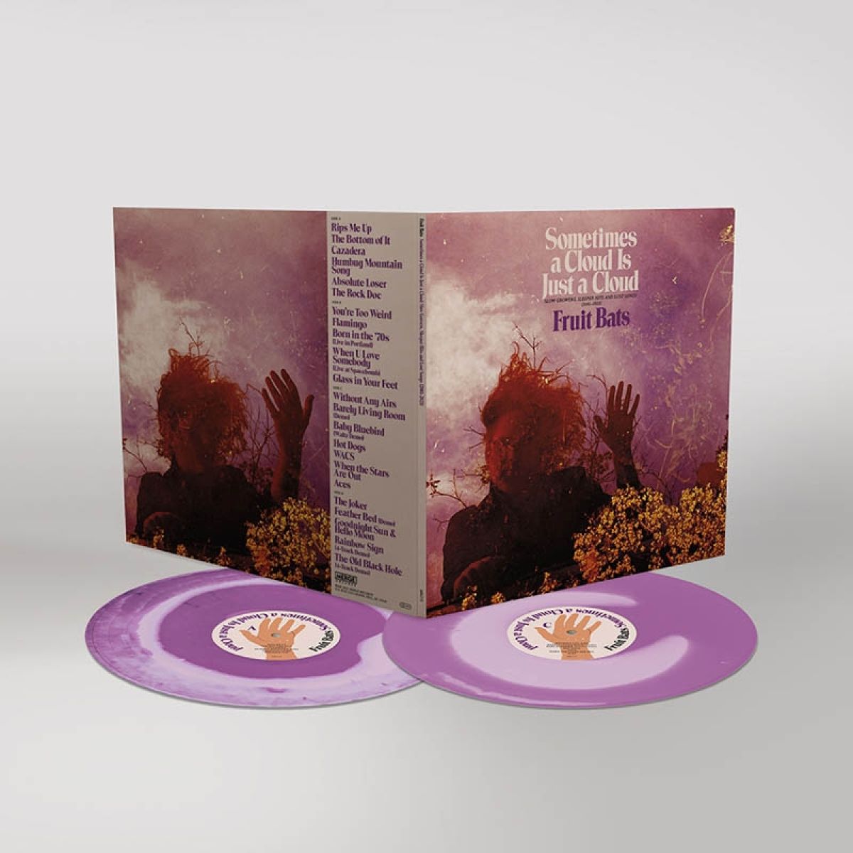 Fruit Bats - Sometimes A Cloud Is Just A Cloud: Slow Growers, Sleeper Hits, And Lost Songs (2001-2021)