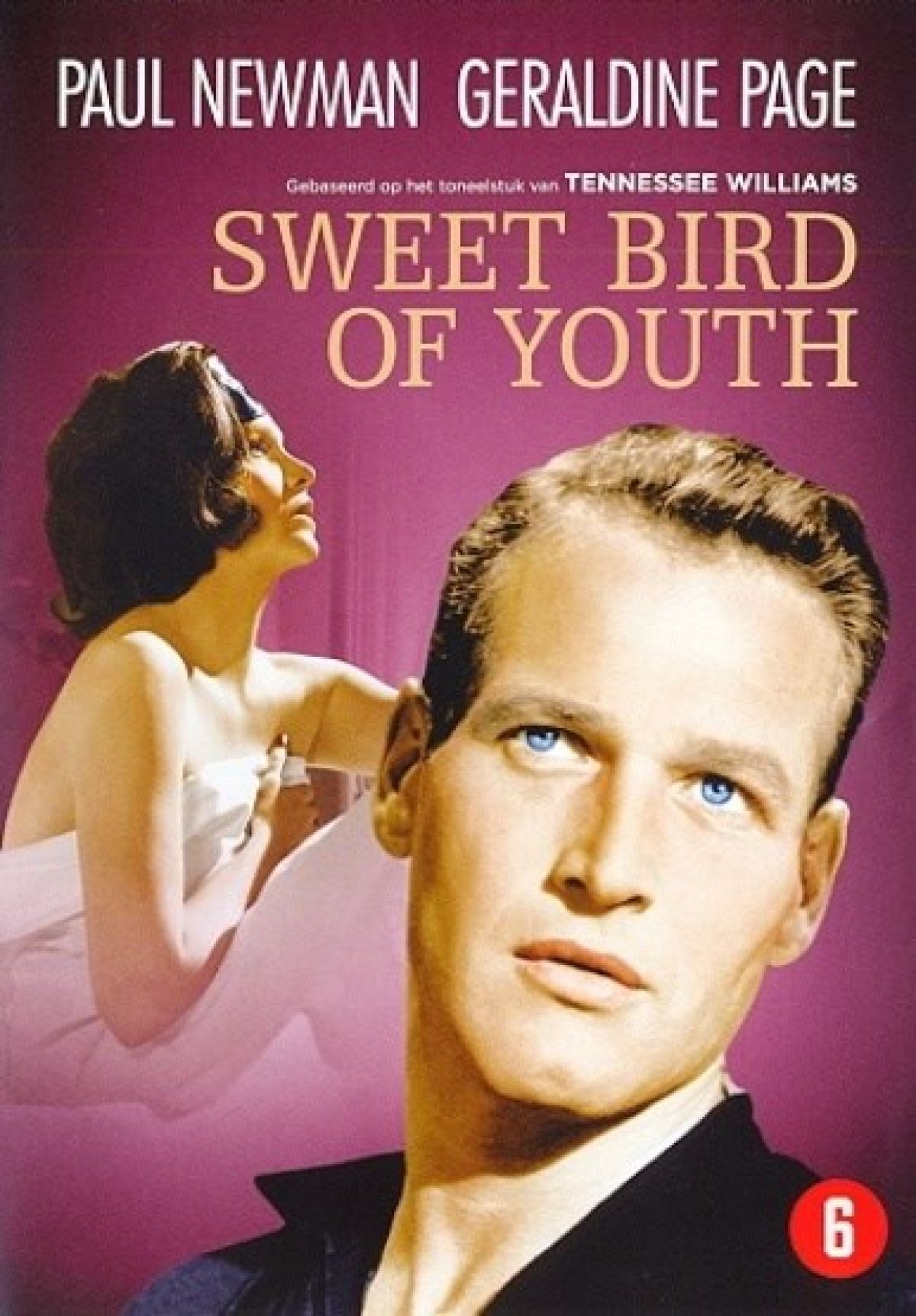 Afbeelding van Sweet bird of youth 
