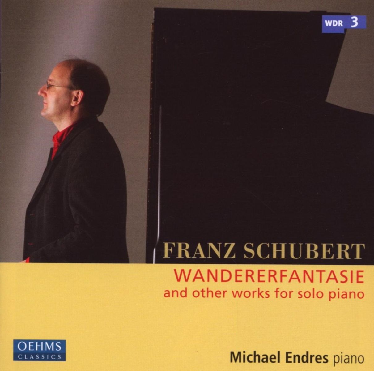 Afbeelding van Michael Endres - Schubert: Wandererfantasie And Other Works For Piano Solo