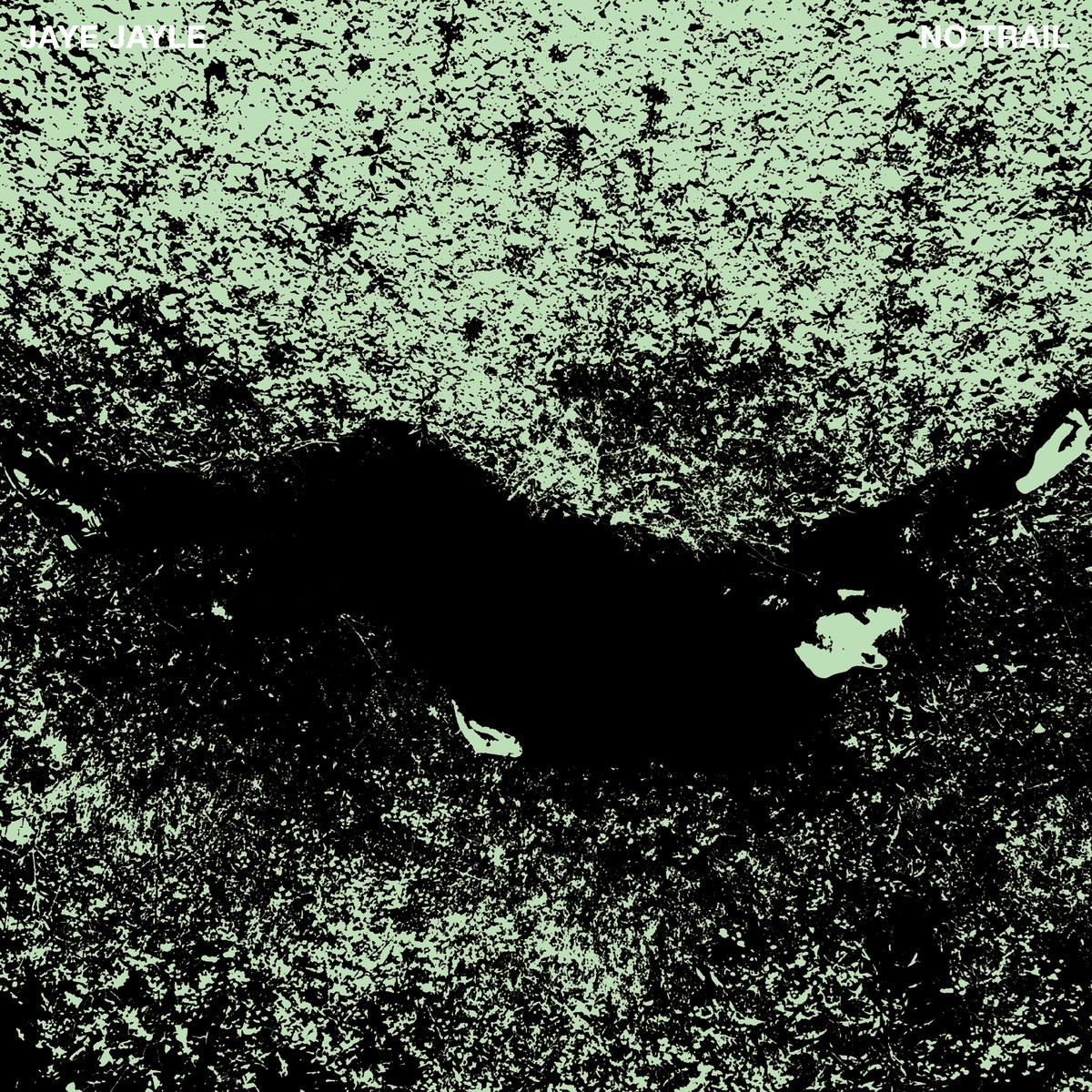 Afbeelding van Jaye Jayle - No Trail And Other Unholy Paths