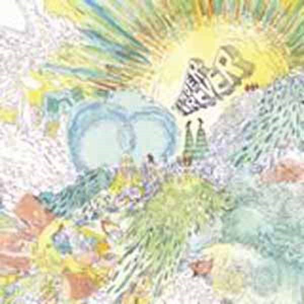 Afbeelding van Tender Forever - The Soft And The Hardcore