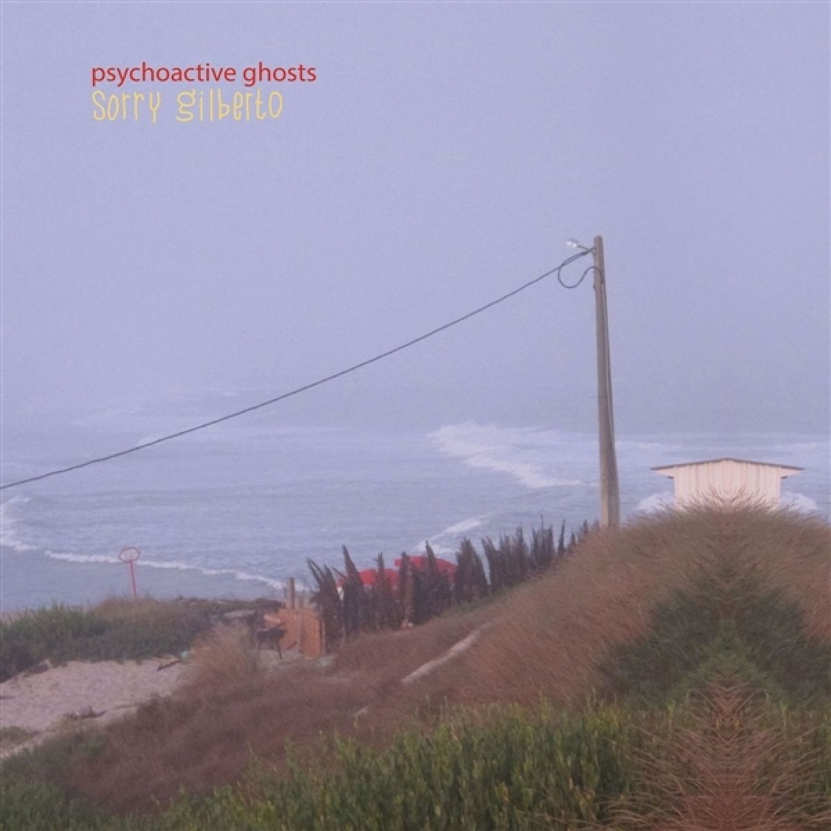 Afbeelding van Sorry Gilberto - Psychoactive Ghosts