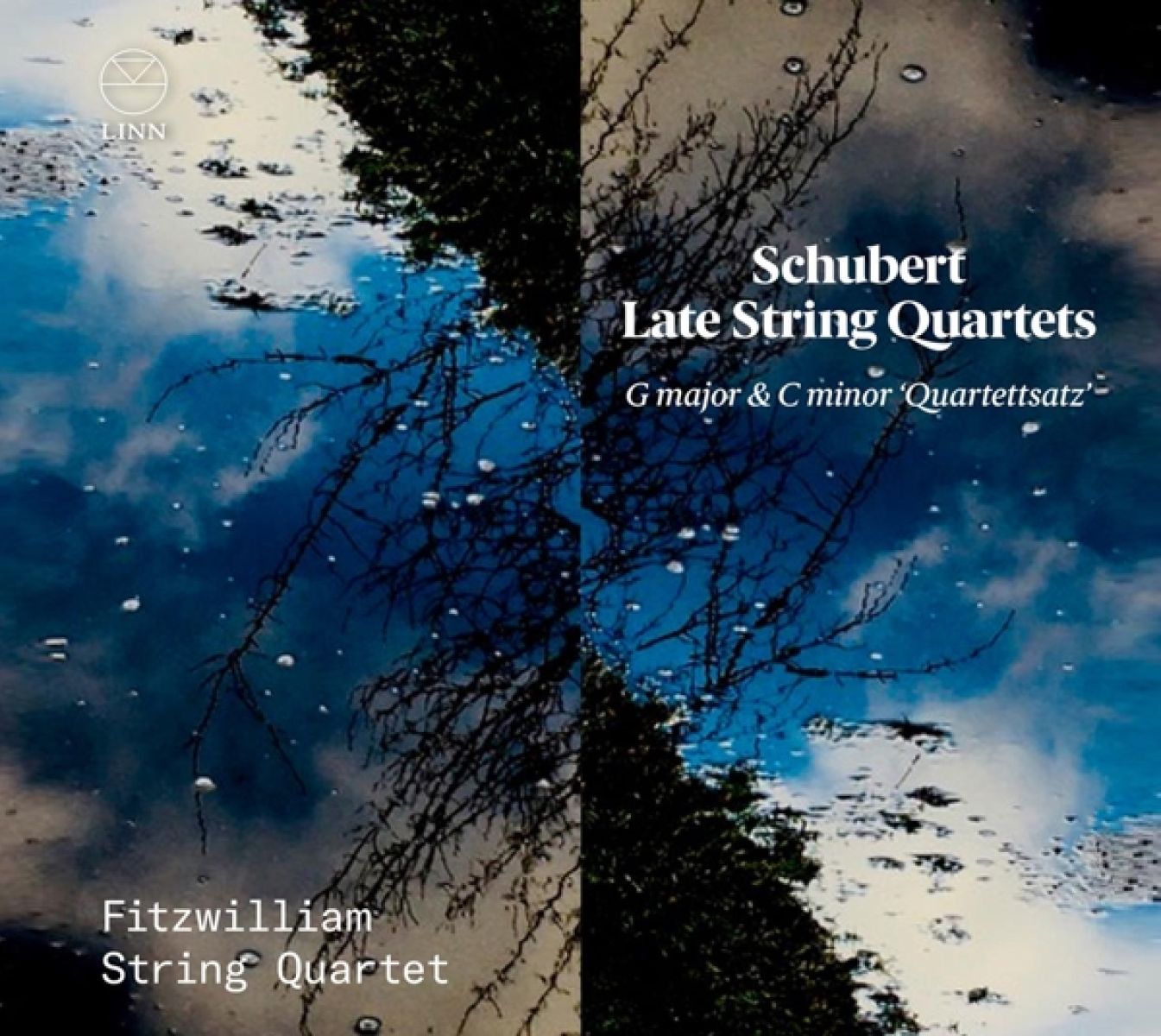 Fitzwilliam String Quartet - Schubert: Late String Quartets: G Major & C Minor "Quartettsatz"