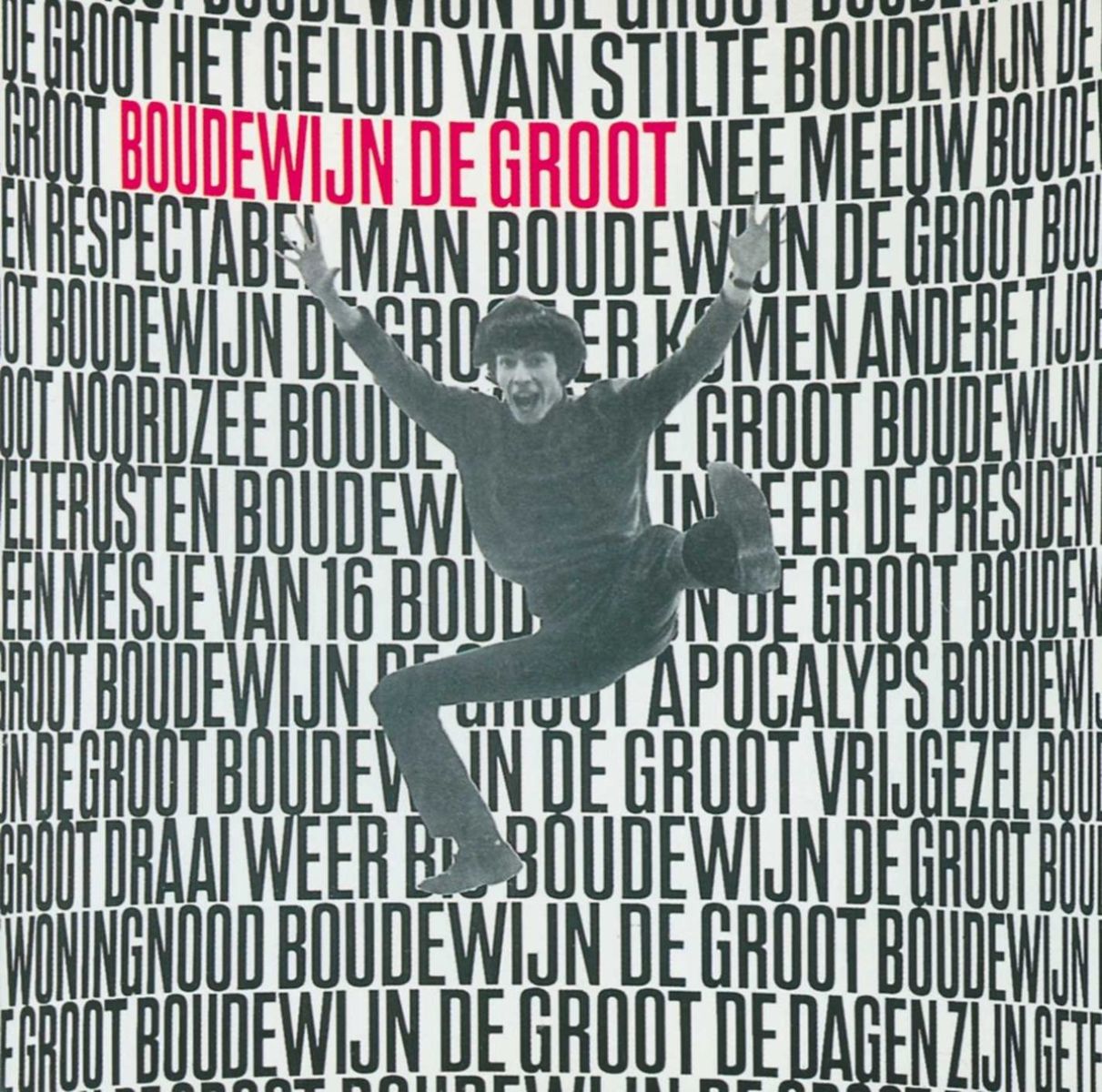Afbeelding van Boudewijn De Groot