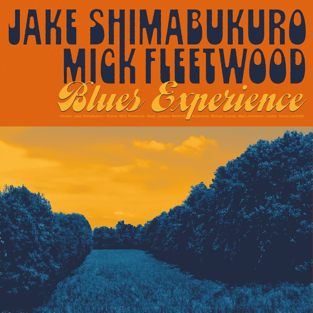 Afbeelding van Blues Experience