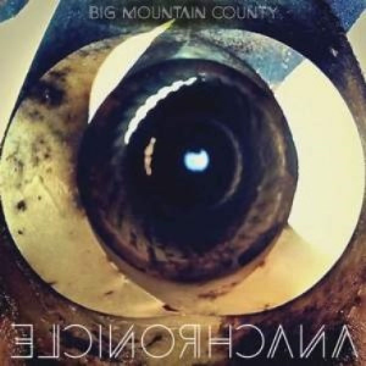 Afbeelding van Big Mountain Country - Anachronicle