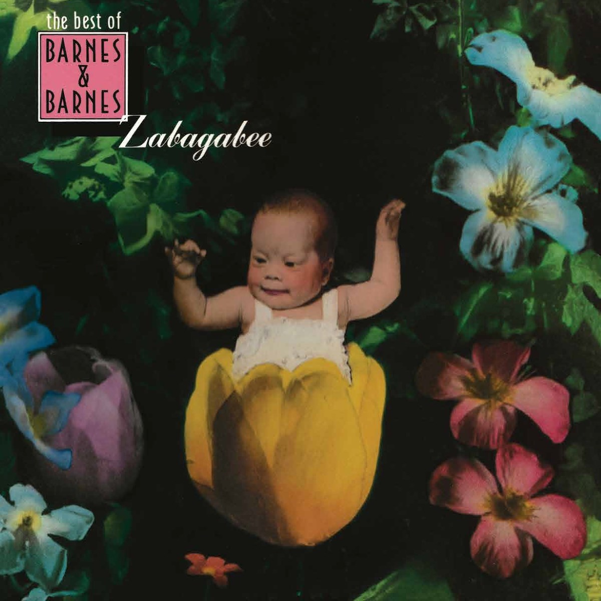 Afbeelding van Barnes & Barnes - Zabagabee: The Best Of Barnes & Barnes