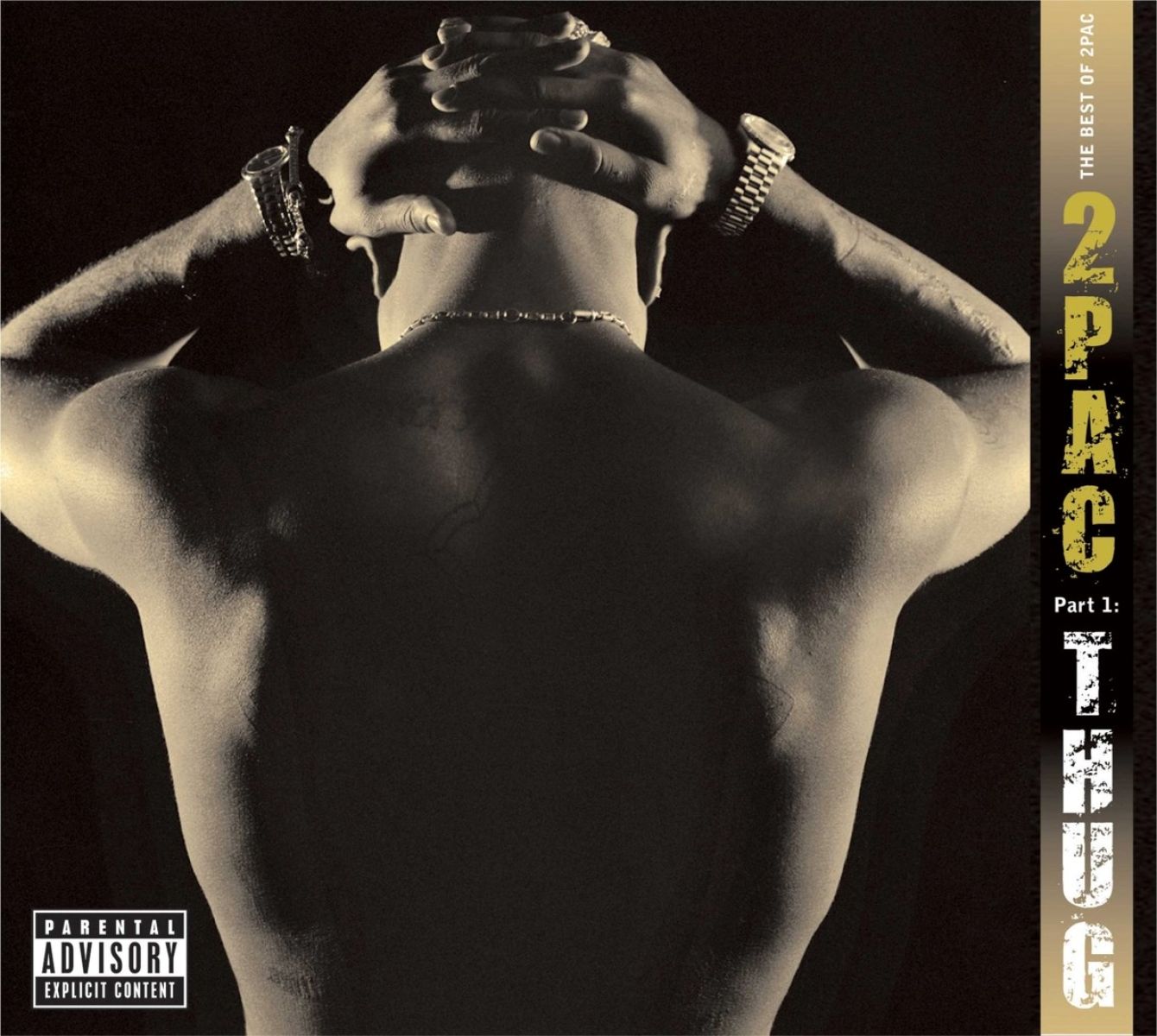 Afbeelding van 2Pac - The Best Of 2Pac - Part 1: Thug