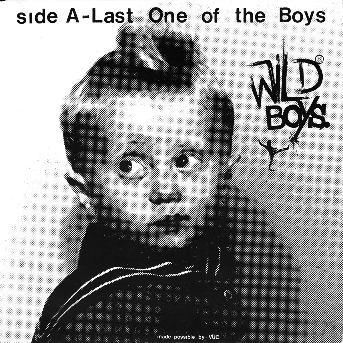 Afbeelding van Wild Boys - Last One Of The Boys