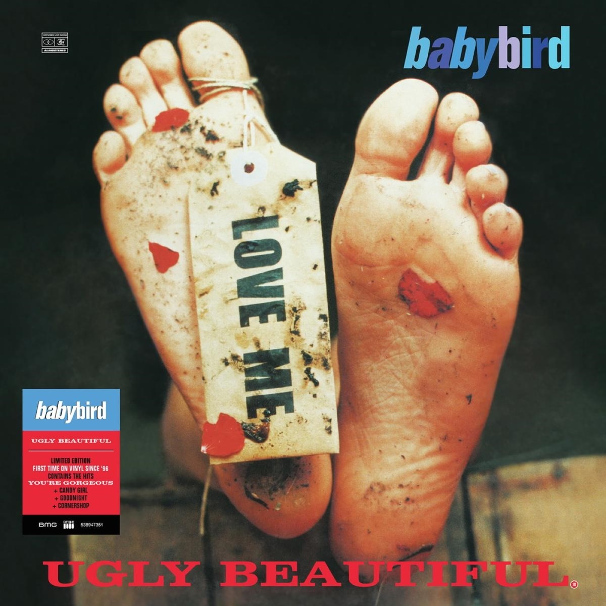 Afbeelding van Babybird - Ugly Beautiful