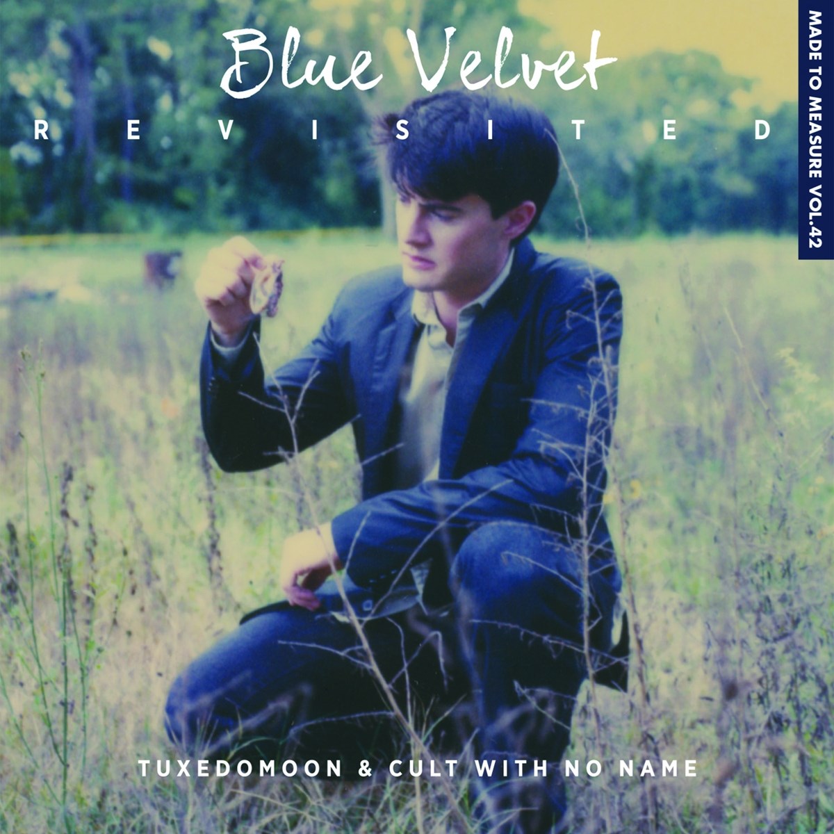 Afbeelding van Blue Velvet Revisited