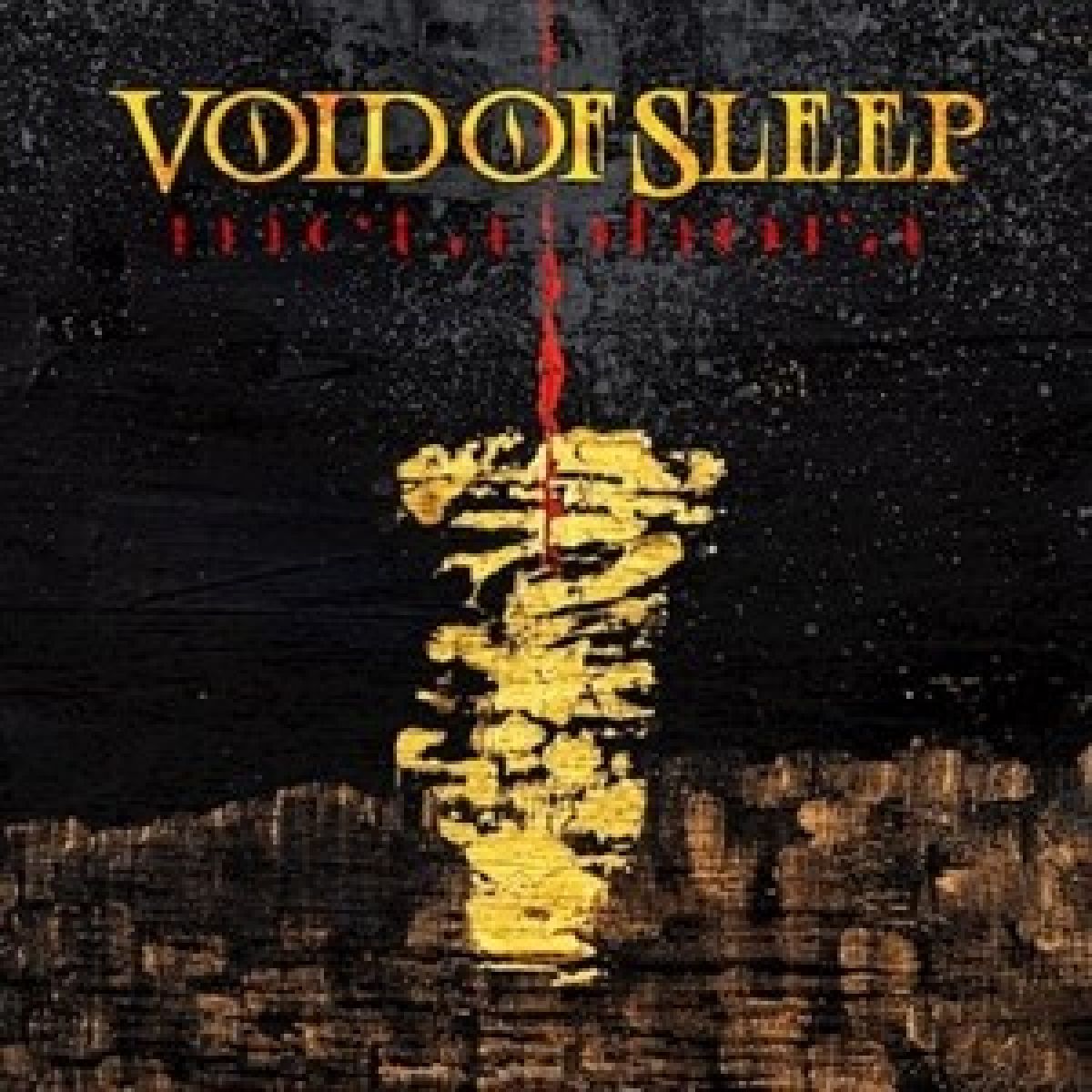 Afbeelding van Void Of Sleep - Metaphora