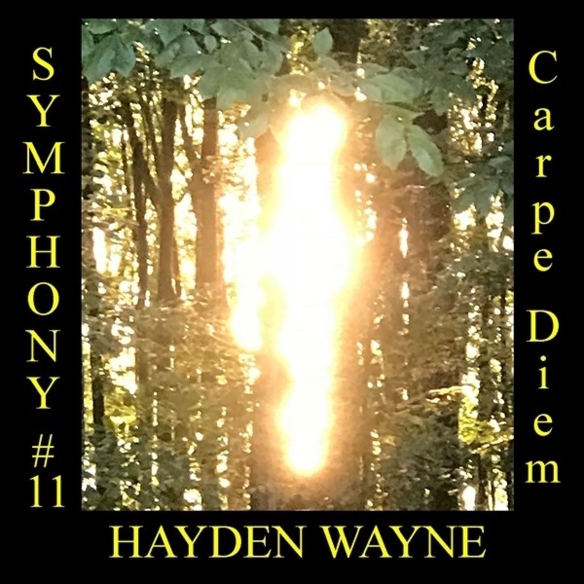 Hayden Wayne - Symphony # 11: Carpe Diem
