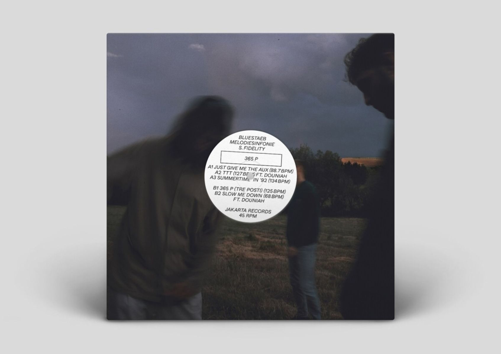 Afbeelding van Bluestaeb & Melodiesinfonie & S. Fi - 365 P