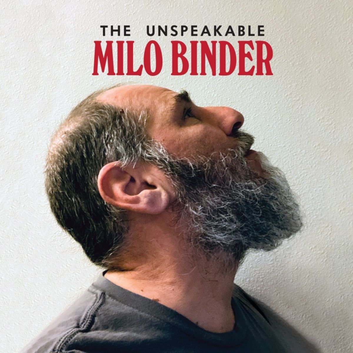 Afbeelding van The Unspeakable Milo Binder