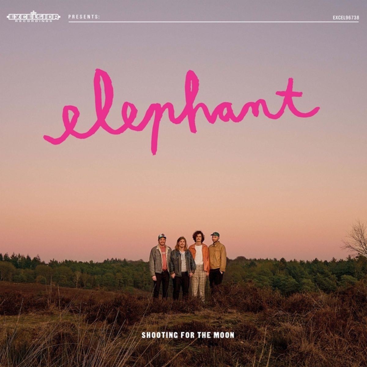 Afbeelding van Elephant - Shooting For The Moon